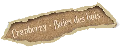 cb-image